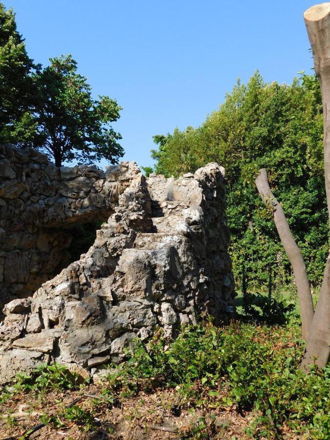 Appartamento Con Piscina Immersa Nel Verde كاشينا المظهر الخارجي الصورة