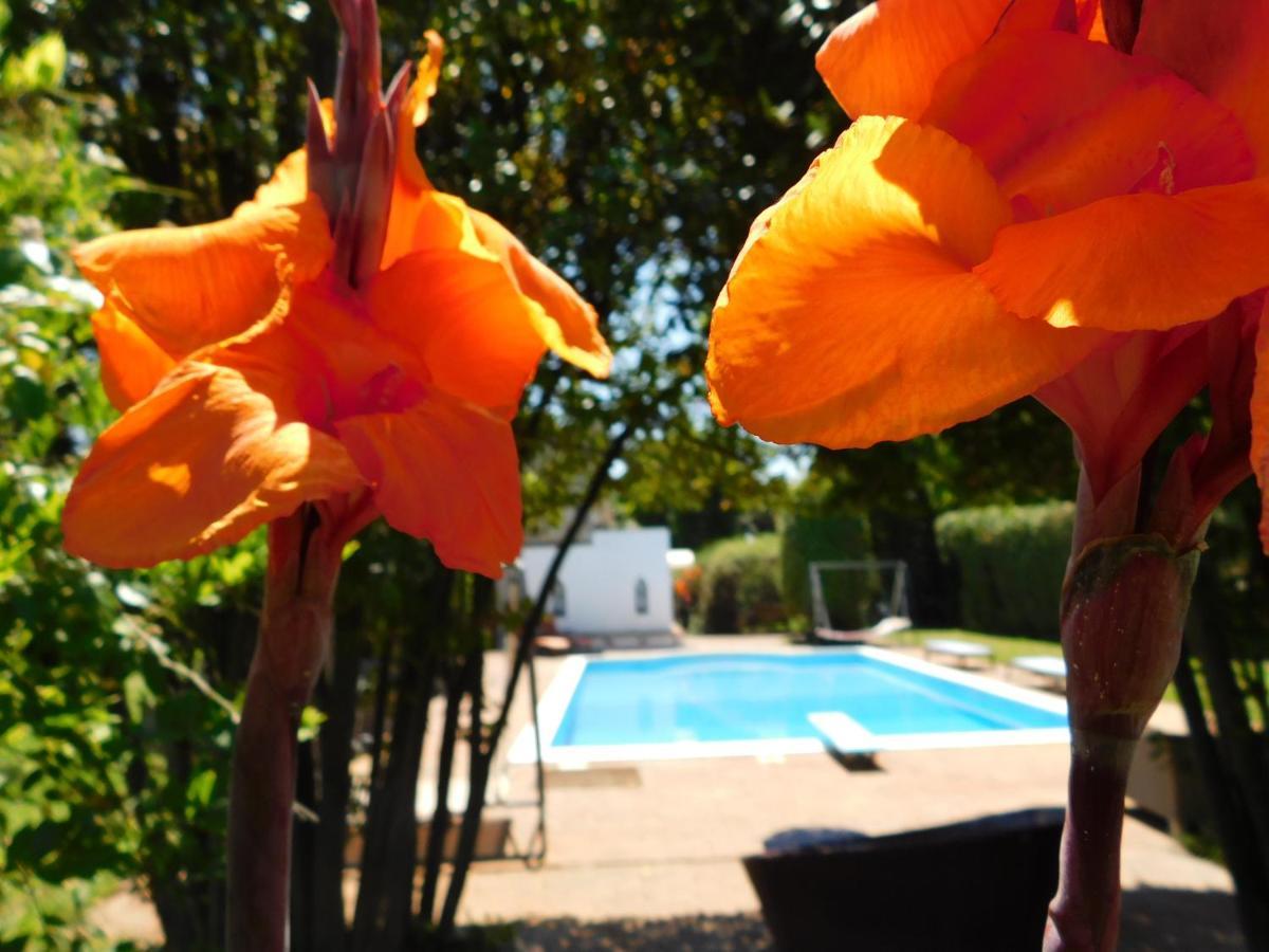 Appartamento Con Piscina Immersa Nel Verde كاشينا المظهر الخارجي الصورة