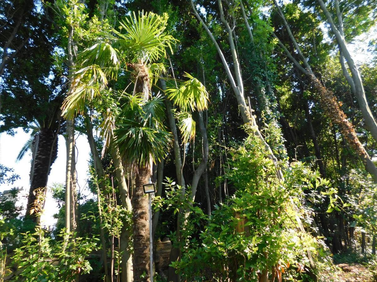 Appartamento Con Piscina Immersa Nel Verde كاشينا المظهر الخارجي الصورة